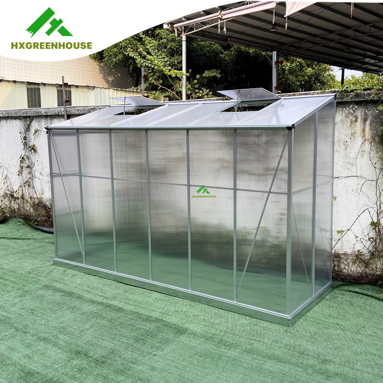 4mm Economic greenhouse 12x4FT HX65410 Serise