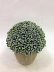 Name:	<br />
Color No.:#010M<br />
Desc:<br />
Packing:	<br />
FOB Price:$