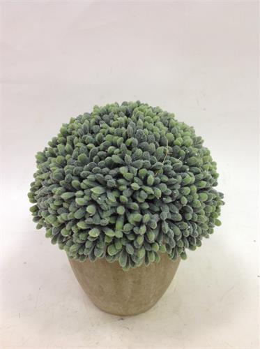 Item No.:JA05QH-PJ70158-010M