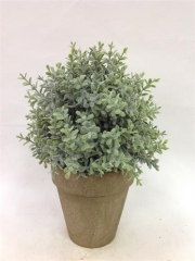 Name:	<br />
Color No.:#010M<br />
Desc:<br />
Packing:	<br />
FOB Price:$