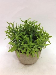 Name:	<br />
Color No.:#070<br />
Desc:<br />
Packing:	<br />
FOB Price:$
