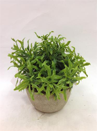 Item No.:JA05QH-PJ70167-070