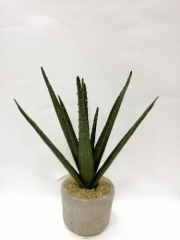 Name:	<br />
Color No.:#121-1<br />
Desc:<br />
Packing:	<br />
FOB Price:$