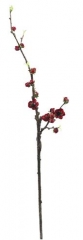Name:	<br />
Color No.:#H1507<br />
Desc:<br />
Packing:	<br />
FOB Price:$