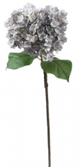 Name:	<br />
Color No.:#H15019<br />
Desc:<br />
Packing:	<br />
FOB Price:$