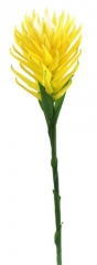 Name:	<br />
Color No.:#4<br />
Desc:<br />
Packing:	<br />
FOB Price:$