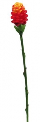 Name:	<br />
Color No.:#2<br />
Desc:<br />
Packing:	<br />
FOB Price:$