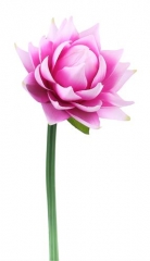 Name:	<br />
Color No.:#5<br />
Desc:<br />
Packing:	<br />
FOB Price:$