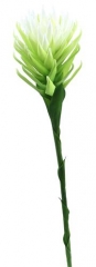 Name:	<br />
Color No.:#3<br />
Desc:<br />
Packing:	<br />
FOB Price:$