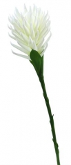 Name:	<br />
Color No.:#1<br />
Desc:<br />
Packing:	<br />
FOB Price:$