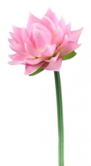 Name:	<br />
Color No.:#4<br />
Desc:<br />
Packing:	<br />
FOB Price:$