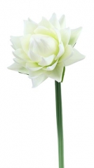 Name:	<br />
Color No.:#1<br />
Desc:<br />
Packing:	<br />
FOB Price:$