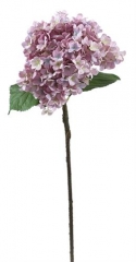 Name:	<br />
Color No.:#H15020<br />
Desc:<br />
Packing:	<br />
FOB Price:$