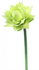 Name:	<br />
Color No.:#3<br />
Desc:<br />
Packing:	<br />
FOB Price:$