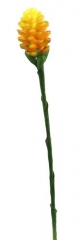 Name:	<br />
Color No.:#4<br />
Desc:<br />
Packing:	<br />
FOB Price:$