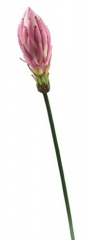 Name:	<br />
Color No.:#3<br />
Desc:<br />
Packing:	<br />
FOB Price:$