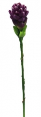 Name:	<br />
Color No.:#5<br />
Desc:<br />
Packing:	<br />
FOB Price:$