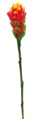 Name:	<br />
Color No.:#2<br />
Desc:<br />
Packing:	<br />
FOB Price:$