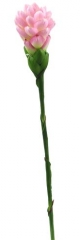 Name:	<br />
Color No.:#4<br />
Desc:<br />
Packing:	<br />
FOB Price:$