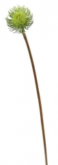 Name:	<br />
Color No.:#GR04<br />
Desc:<br />
Packing:	<br />
FOB Price:$