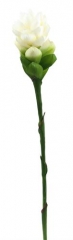 Name:	<br />
Color No.:#1<br />
Desc:<br />
Packing:	<br />
FOB Price:$