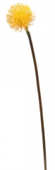 Name:	<br />
Color No.:#GO02<br />
Desc:<br />
Packing:	<br />
FOB Price:$