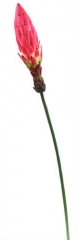 Name:	<br />
Color No.:#4<br />
Desc:<br />
Packing:	<br />
FOB Price:$