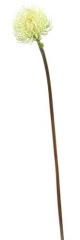 Name:	<br />
Color No.:#LG03<br />
Desc:<br />
Packing:	<br />
FOB Price:$