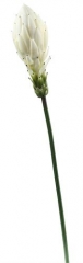 Name:	<br />
Color No.:#1<br />
Desc:<br />
Packing:	<br />
FOB Price:$