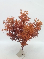 Name:	<br />
Color No.:#H2621<br />
Desc:<br />
Packing:	<br />
FOB Price:$