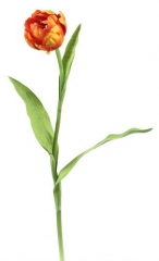 Name:	<br />
Color No.:#LH0009<br />
Desc:<br />
Packing:	<br />
FOB Price:$