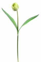 Name:	<br />
Color No.:#LH0016<br />
Desc:<br />
Packing:	<br />
FOB Price:$