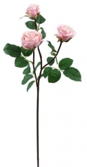 Name:	<br />
Color No.:#009<br />
Desc:<br />
Packing:	<br />
FOB Price:$