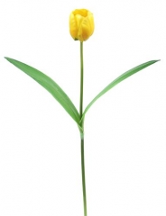 Name:	<br />
Color No.:#LH0010<br />
Desc:<br />
Packing:	<br />
FOB Price:$