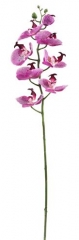 Name:	<br />
Color No.:#LH0055<br />
Desc:<br />
Packing:	<br />
FOB Price:$