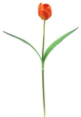 Name:	<br />
Color No.:#LH0009<br />
Desc:<br />
Packing:	<br />
FOB Price:$