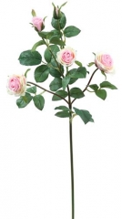 Name:	<br />
Color No.:#009<br />
Desc:<br />
Packing:	<br />
FOB Price:$