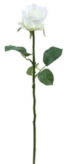 Name:	<br />
Color No.:#LH0001<br />
Desc:<br />
Packing:	<br />
FOB Price:$