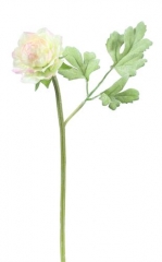 Name:	<br />
Color No.:#029<br />
Desc:<br />
Packing:	<br />
FOB Price:$