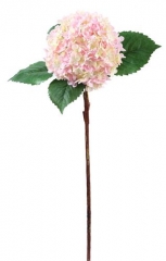 Name:	<br />
Color No.:#009<br />
Desc:<br />
Packing:	<br />
FOB Price:$