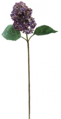 Name:	<br />
Color No.:#019<br />
Desc:<br />
Packing:	<br />
FOB Price:$