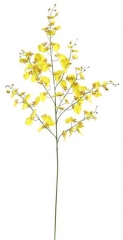 Name:	<br />
Color No.:#E561<br />
Desc:<br />
Packing:	<br />
FOB Price:$
