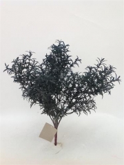 Name:	<br />
Color No.:#H2623<br />
Desc:<br />
Packing:	<br />
FOB Price:$