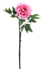 Name:	<br />
Color No.:#Q0004<br />
Desc:<br />
Packing:	<br />
FOB Price:$