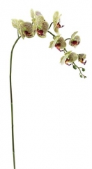 Name:	<br />
Color No.:#LH0054<br />
Desc:<br />
Packing:	<br />
FOB Price:$