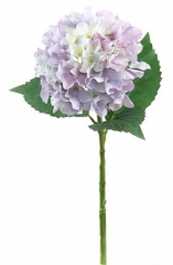 Name:	<br />
Color No.:#LH0020<br />
Desc:<br />
Packing:	<br />
FOB Price:$