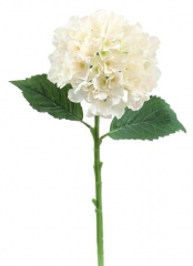 Name:	<br />
Color No.:#LH0051<br />
Desc:<br />
Packing:	<br />
FOB Price:$