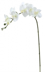 Name:	<br />
Color No.:#LH0024<br />
Desc:<br />
Packing:	<br />
FOB Price:$