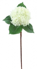 Name:	<br />
Color No.:#002-1<br />
Desc:<br />
Packing:	<br />
FOB Price:$