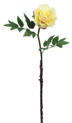 Name:	<br />
Color No.:#Q0003<br />
Desc:<br />
Packing:	<br />
FOB Price:$
